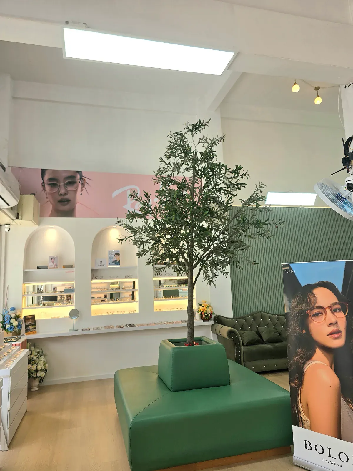 มุมนั่งรอภายในร้าน Lookme Optic ตกแต่งโทนเขียวและขาว มีต้นไม้กลางร้าน